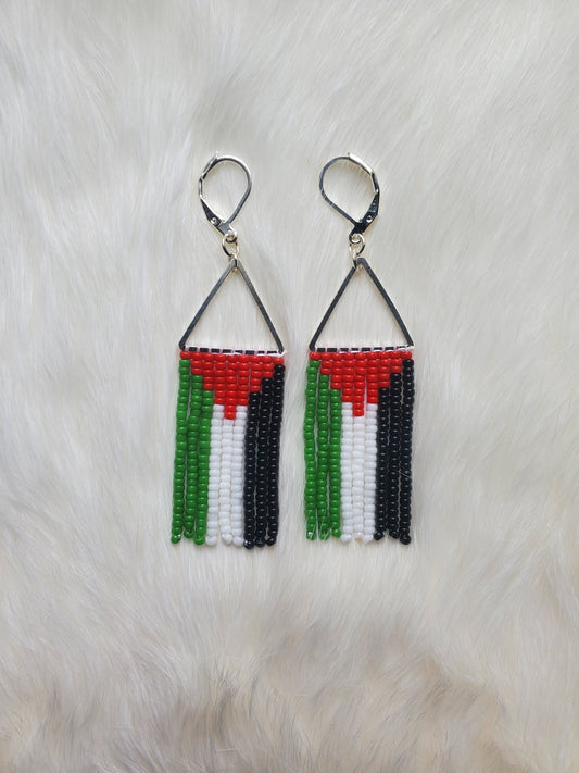 Palestine Flag Earrings